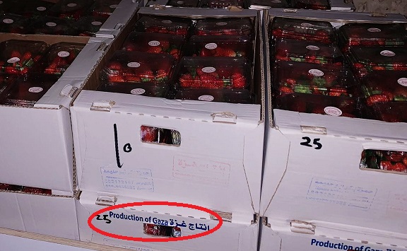 תותים מעזה: המשטרה תפסה מאה ארגזים של תותי שדה שהוברחו מהרצועה לשוק התקווה