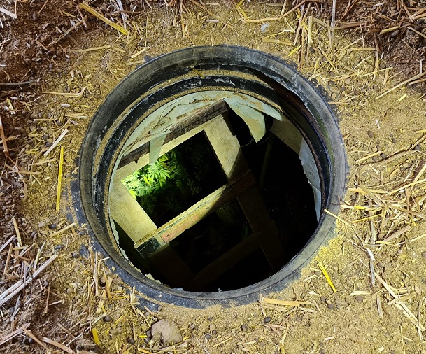 מנהרת הקנאביס: המשטרה חשפה מעבדה תת-קרקעית לגידול קנאביס